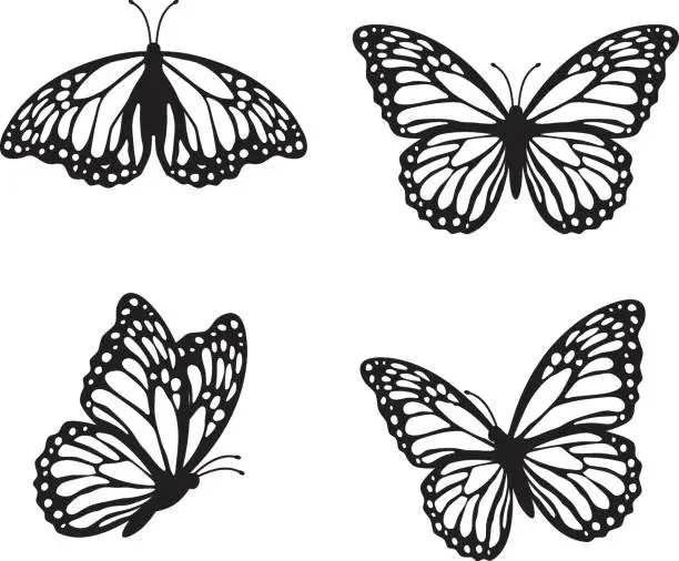 Vector illustration of A set of black butterflies separated from the background, depicted from different angles.