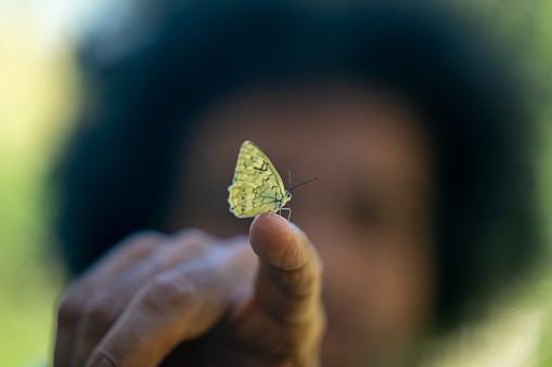 Macro photo of butterfly on human finger. Models face is seen blurred. Selective focus on butterfly. Shot under daylight with a full frame mirrorless camera.