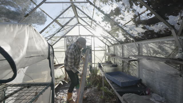 Cleaning an Overgrown  Green House