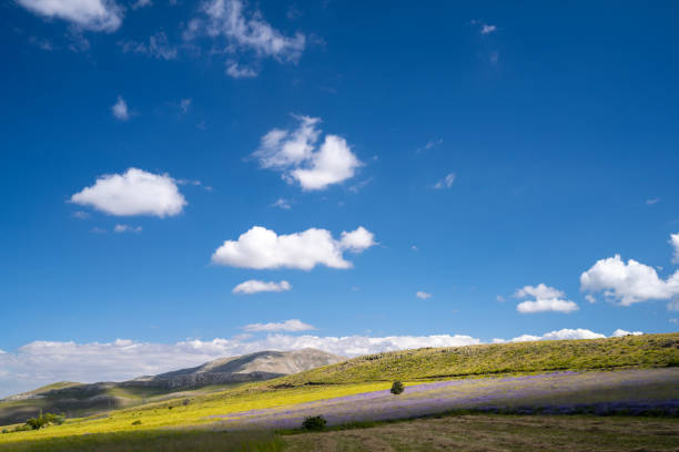 Photo of cultivated land and hills under blue sky with high clouds. No people are seen in frame. Shot under natural light.
