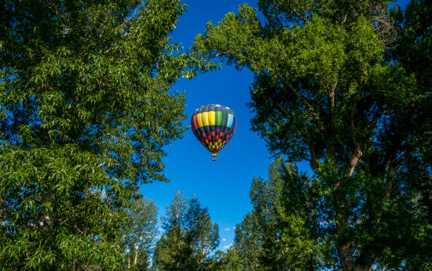 istock Hot Air Balloons 1973519014