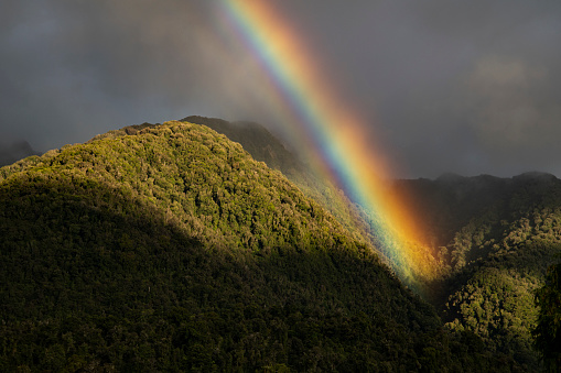Fox Glacier, New Zealand, rainbow