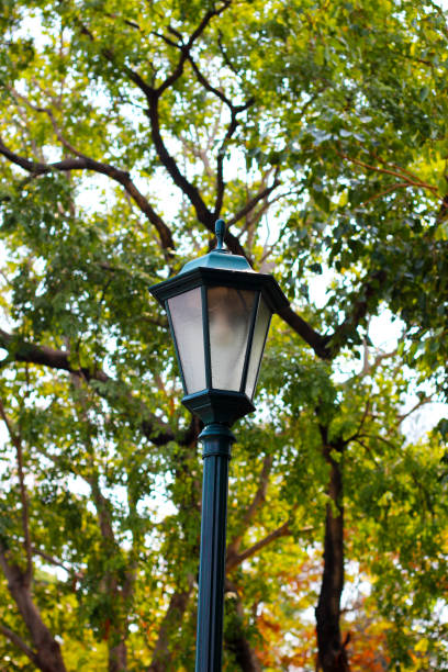 istock Vintage park street lamp post 1973563354
