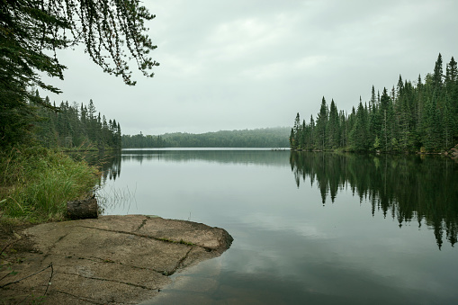 Calm northern Minnesota lake with pines along the shore on a foggy overcast morning in September