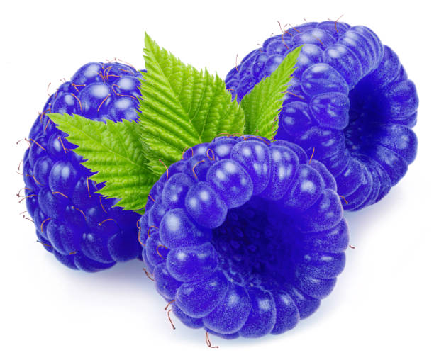 istock Three ripe blue raspberries with green leaves isolated on white background. 1973679516