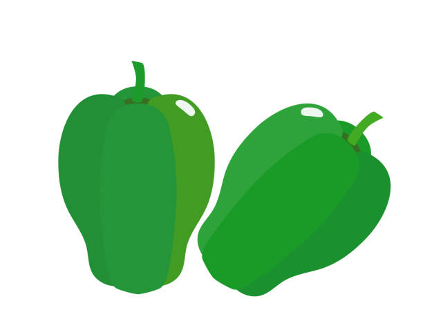 ilustracja zielonego pieprzu - piman stock illustrations
