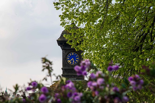 Blue Clock with flowers and green leaves in Kensington Gardens