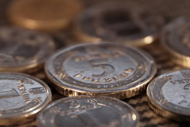 istock Ukrainian hryvnia coins 1973790037