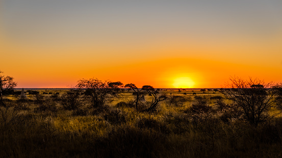 A beautiful african sunset, Onguma Game Reserve ( Neighbour of Etosha National Park), Namibia.   Horizontal.