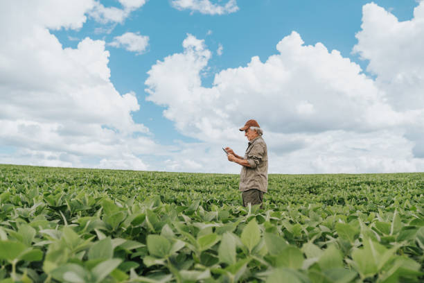 istock Farmer in the soybean field 1973897848