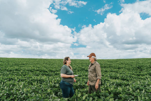 istock Farmers talking in the soybean field 1973897890