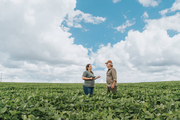 istock Farmers talking in the soybean field 1973898399