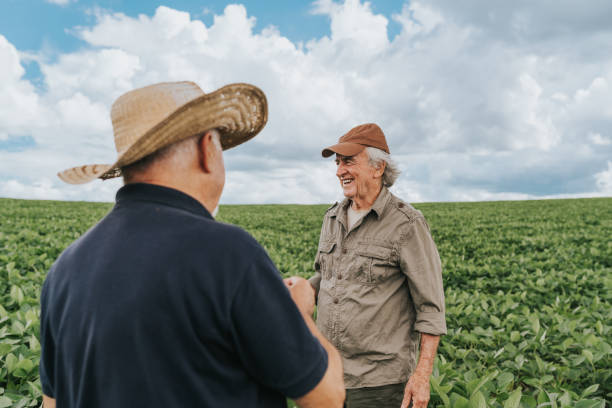 istock Farmers confident in soybean plantation 1973900031