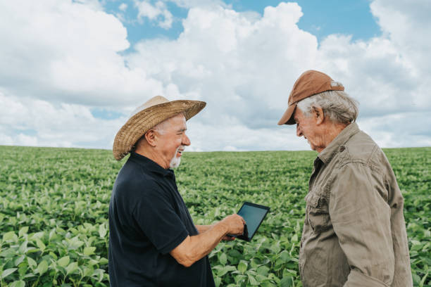 istock Farmers using tablet in soybean plantation 1973904381