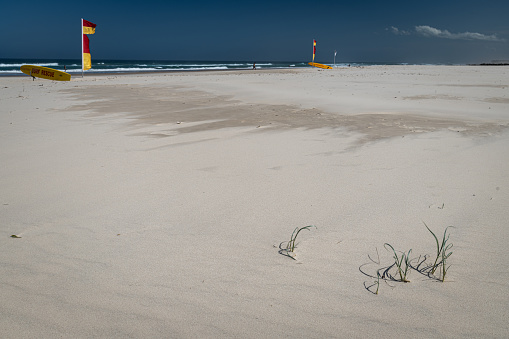 Horizontal seascape of seagulls on beach sand with saftey swimming flags and turquoise breaking waves  under a cloudy blue sky at Byron Bay main Beach NSW Australia