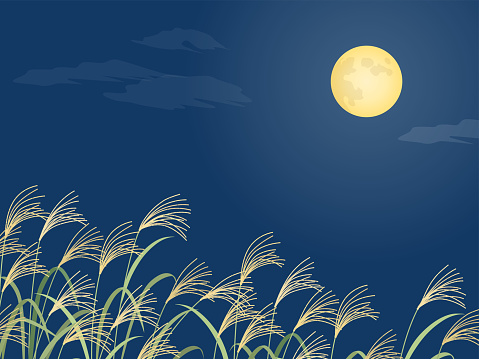 Pampas grass and full moon_landscape_background