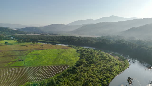 Farmland Near, Tarcoles River, Costa Rica