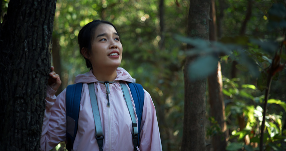 Young Asian backpacker woman with camera standing under tree with tired, she looking around while exploring in forest and smile with happy at beautiful nature