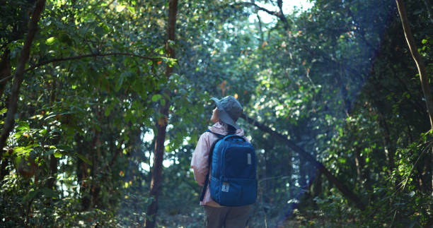 istock Young Asian backpacker woman walking alone in nature forest with backpack 1974044298