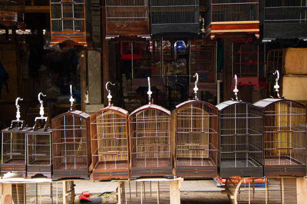 bird cage at animal market