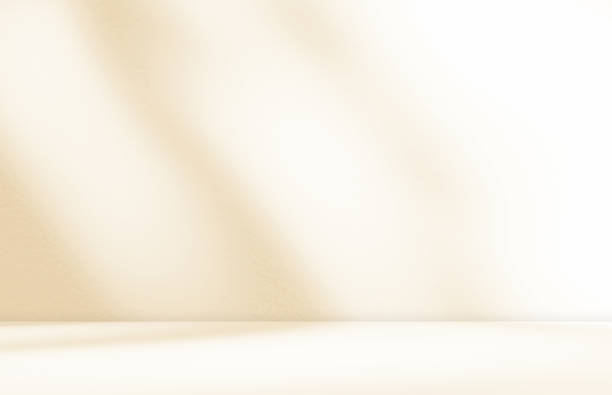 istock Empty cream beige autumn room studio with leaves shadow overlay. 1974145261