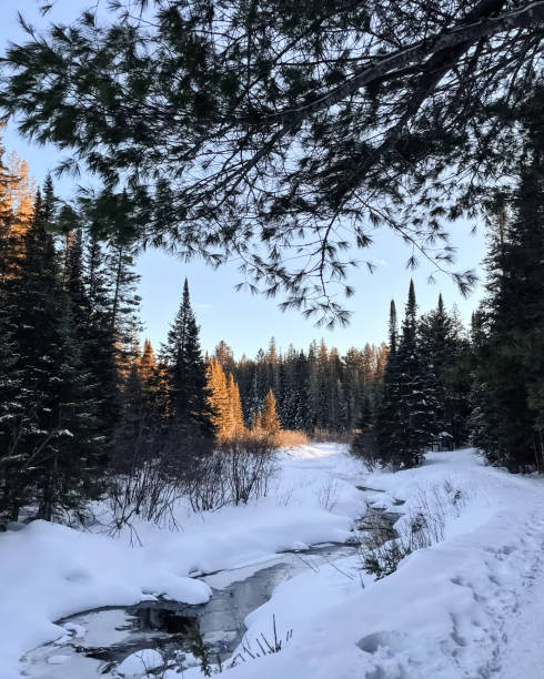 istock Beautiful winter view in park 1974151912