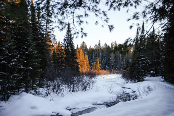 istock Winter landscape with frozen river 1974151914