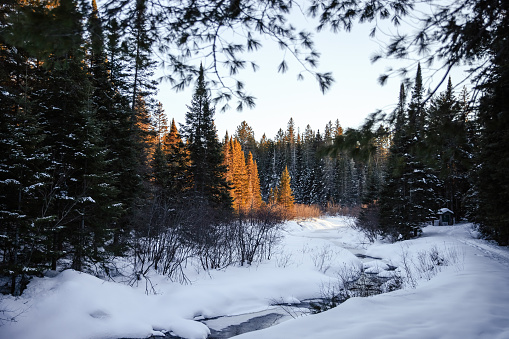 Winter landscape with frozen river and coniferous forest at sunset.