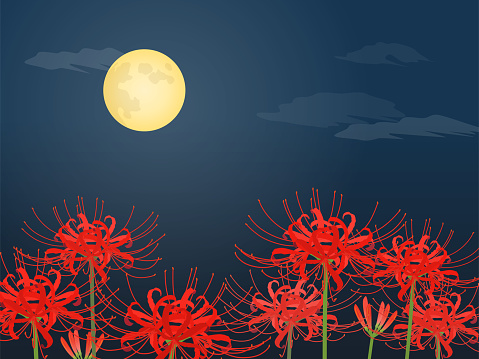 Red spider lily and full moon_background