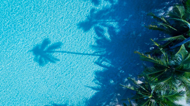 istock Summer palm tree  and Tropical beach with  Aqua waves and coconut palm shadow on blue background. 1974233350