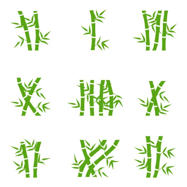 Vector illustration of Bamboo tree branches vector set