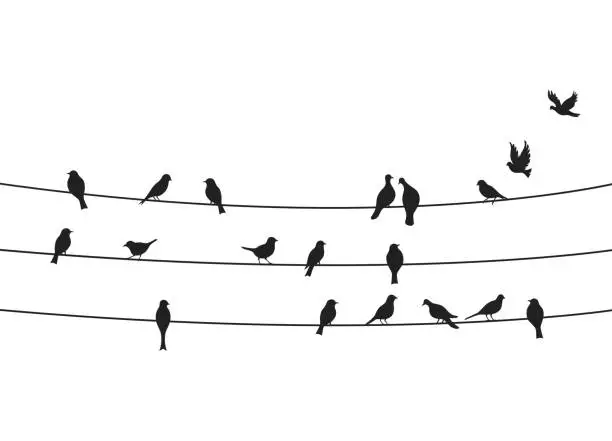 Vector illustration of Birds flock on power line wires vector set
