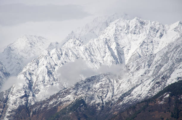 istock Glacier after snow fall near Munsyari 1974261339