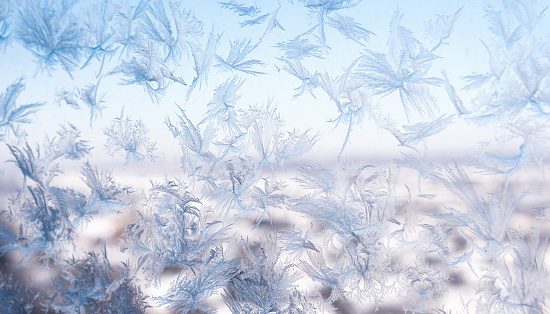 Soft light filters through a canvas of frost, where nature's artistry creates intricate, feathered crystal patterns