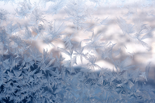 Ethereal frost patterns with feathery details on a translucent surface, hinting at the beauty of winter.