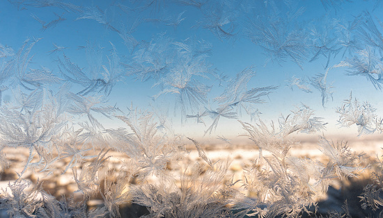 Gossamer frost feathers etched against a clear blue sky, heralding a crisp winter's day