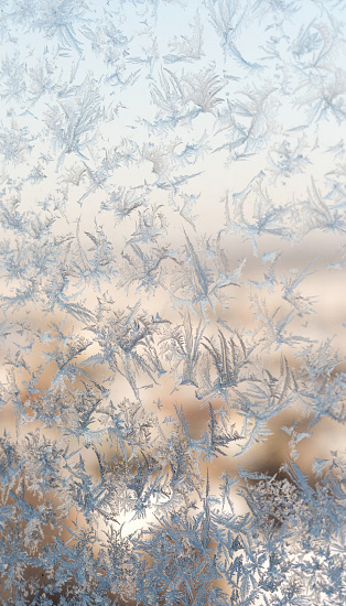 Dawn light bathes delicate frost crystals, creating a shimmering mosaic on a window to the waking world.