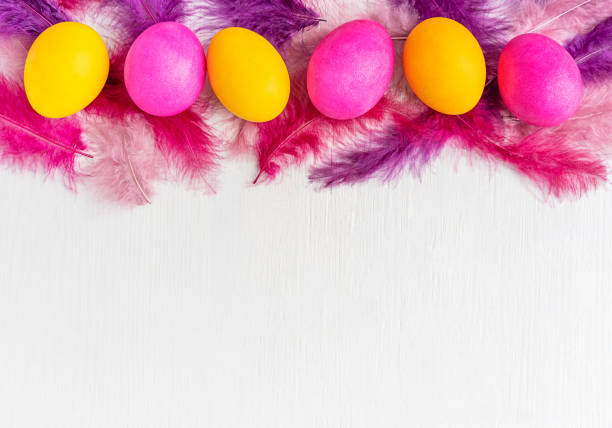Row of easter eggs boiled and painted in bright pink and yellow colours with colourful soft feathers on white wooden background with copy space prepared for traditional spring holiday celebration