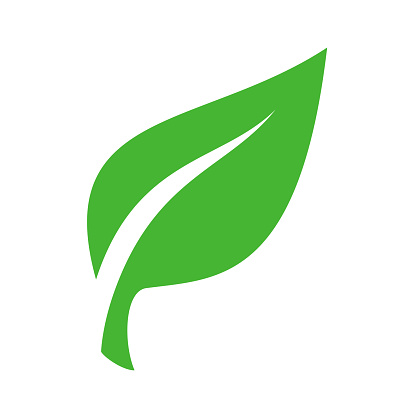 Single leaf icon. Vector flat minimal leaf shape.