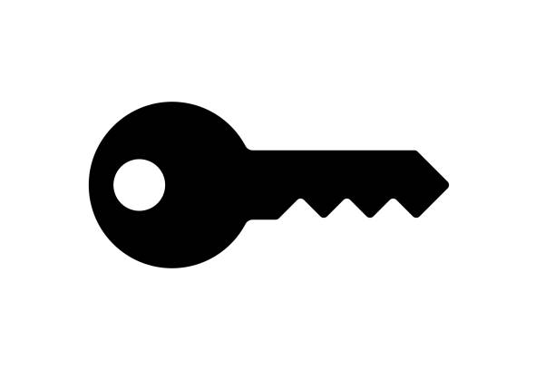 Key icon Vector key icon computer key stock illustrations