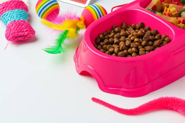 istock Bowl with dry pet food isolated on white background 1974345517