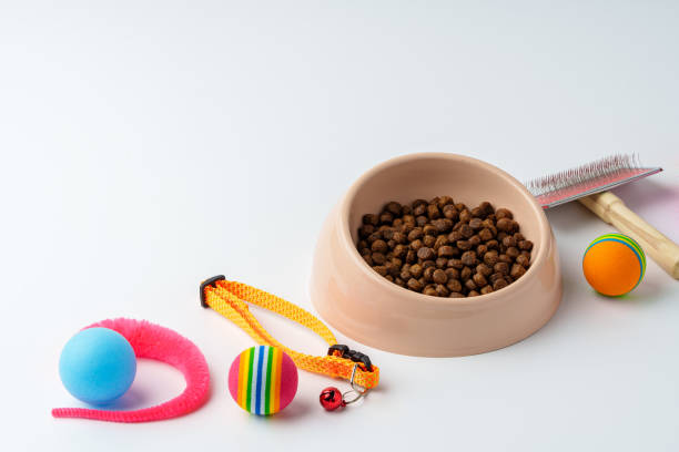 istock Bowl with dry pet food isolated on white background 1974345521