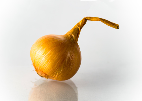 One golden onion on a white background