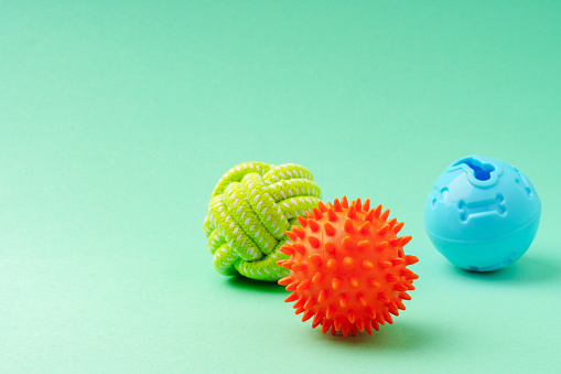 Pet toys on green background close up photo