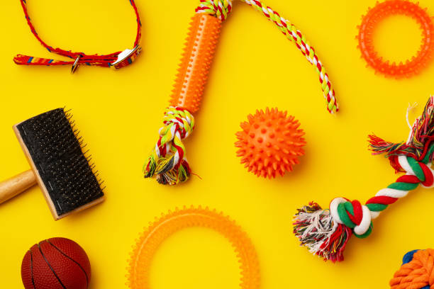 istock Pet toys on yellow background studio shot 1974389830