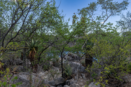 Lake Otjikoto near Tsumeb, Namibia