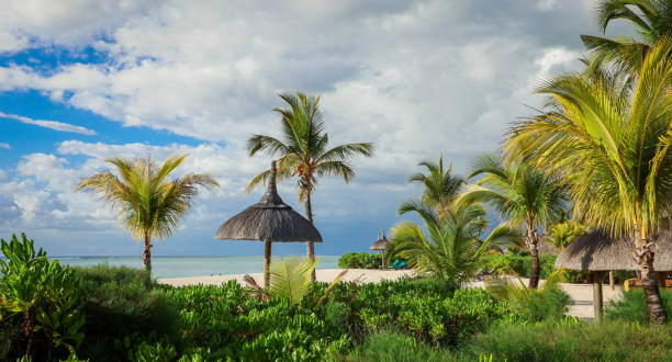 istock Beach With Palm Trees and Thatched Roof in Mauritius 1974414367