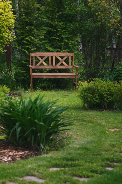 istock wooden garden bench in summer with curvy stone pathway 1974428864