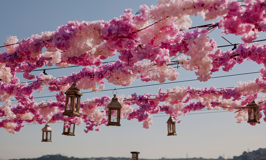 A glass Cherry Blossoms and tealight hanging elegantly on a string against a blue sky. stock photo