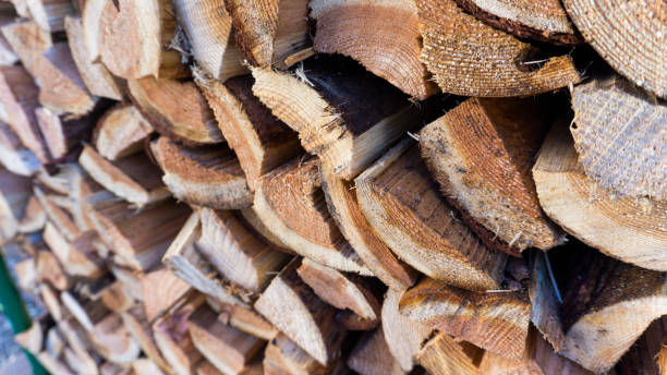 istock firewood in stacked firewood shelves 1974437316